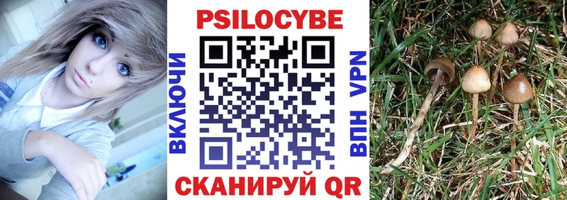 Псилоцибиновые грибы мицелий  Вологда 