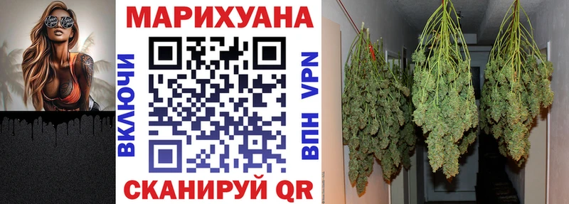 Канабис SATIVA & INDICA  как найти   Вологда 